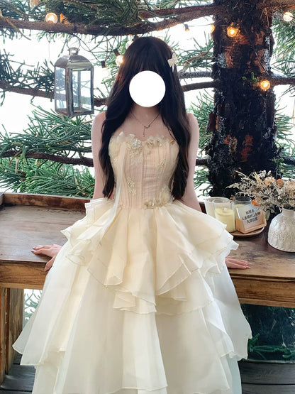 Elegant Ball Gown Spaghetti Strap Champagne Full Length Long Evening Gown Wedding Banquets Night Dresses MP159